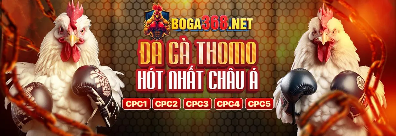 Đá gà trực tuyến AWIN456 với liên kết mới nhất 2026