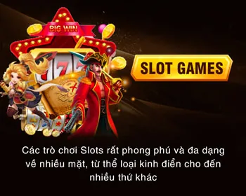 Cá cược Thể Thao AWIN456